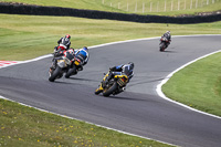 Lower Group Yellow Bikes